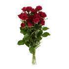 Botte 5 Roses branchues Kenya - Rose H50cm